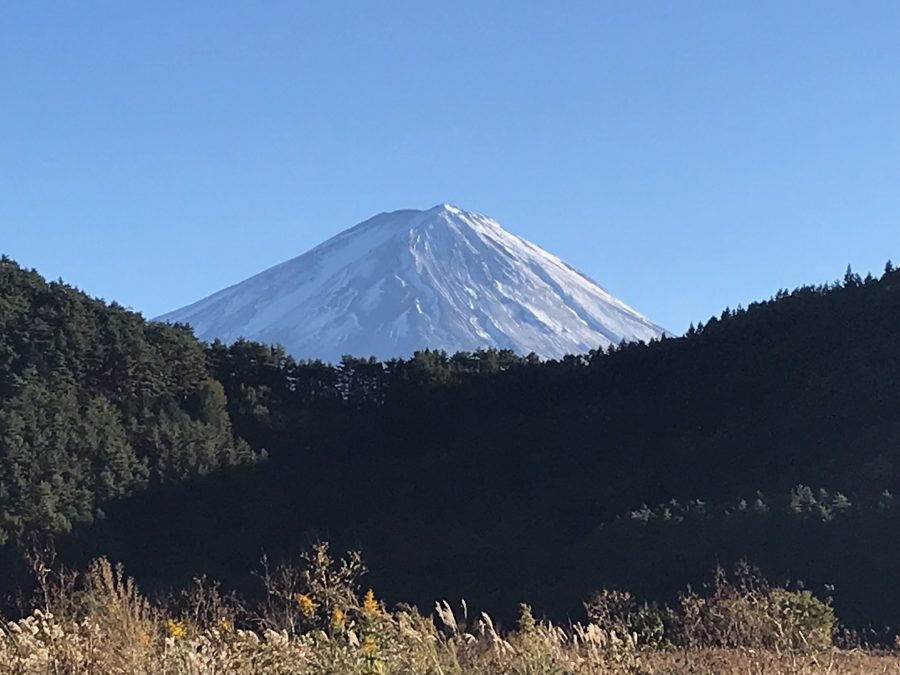 10月23日のブログ